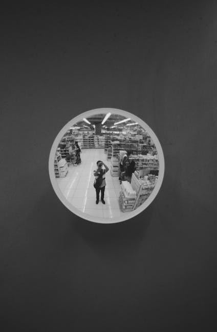 Surveillance mirror showing overview